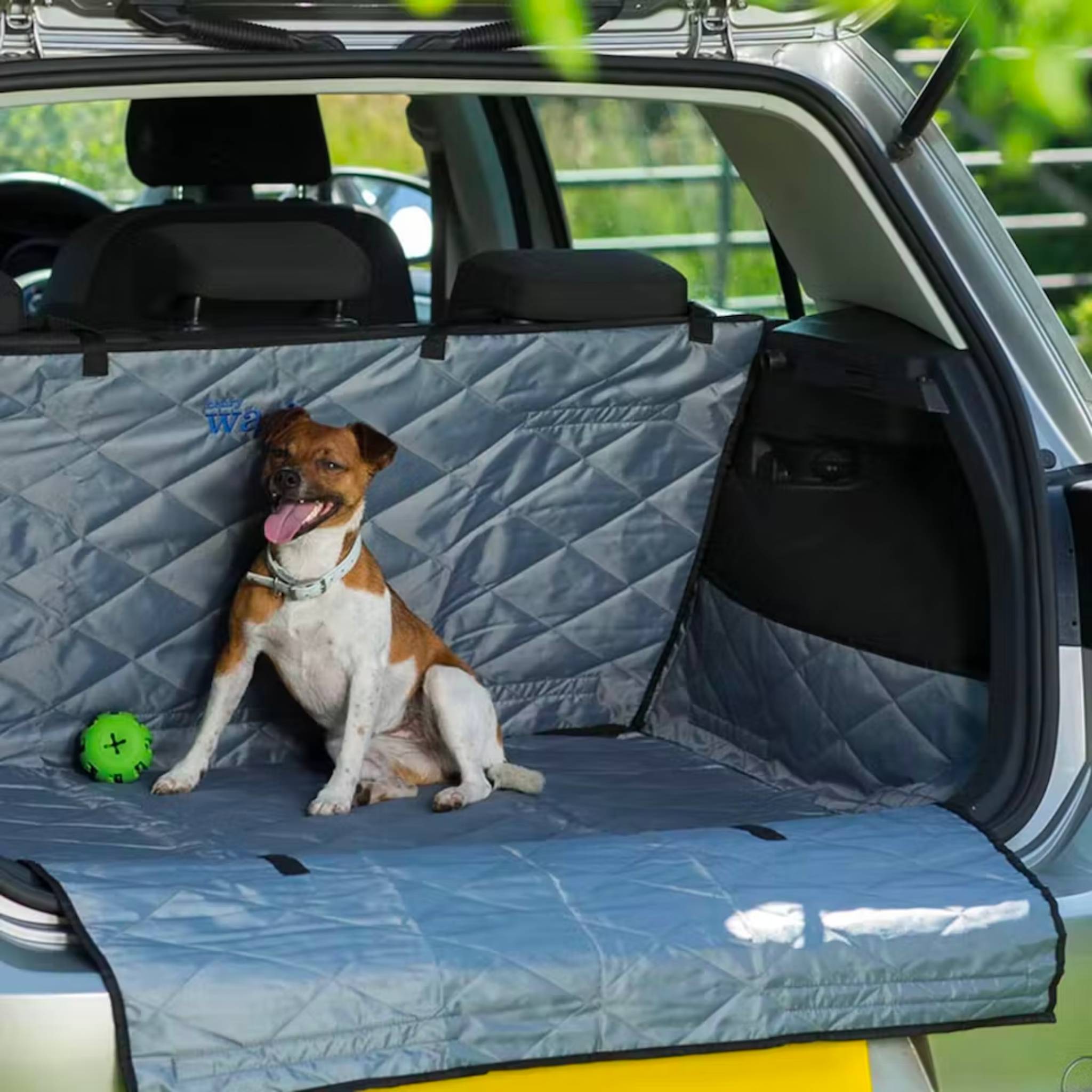 Dog safety clearance in car boot