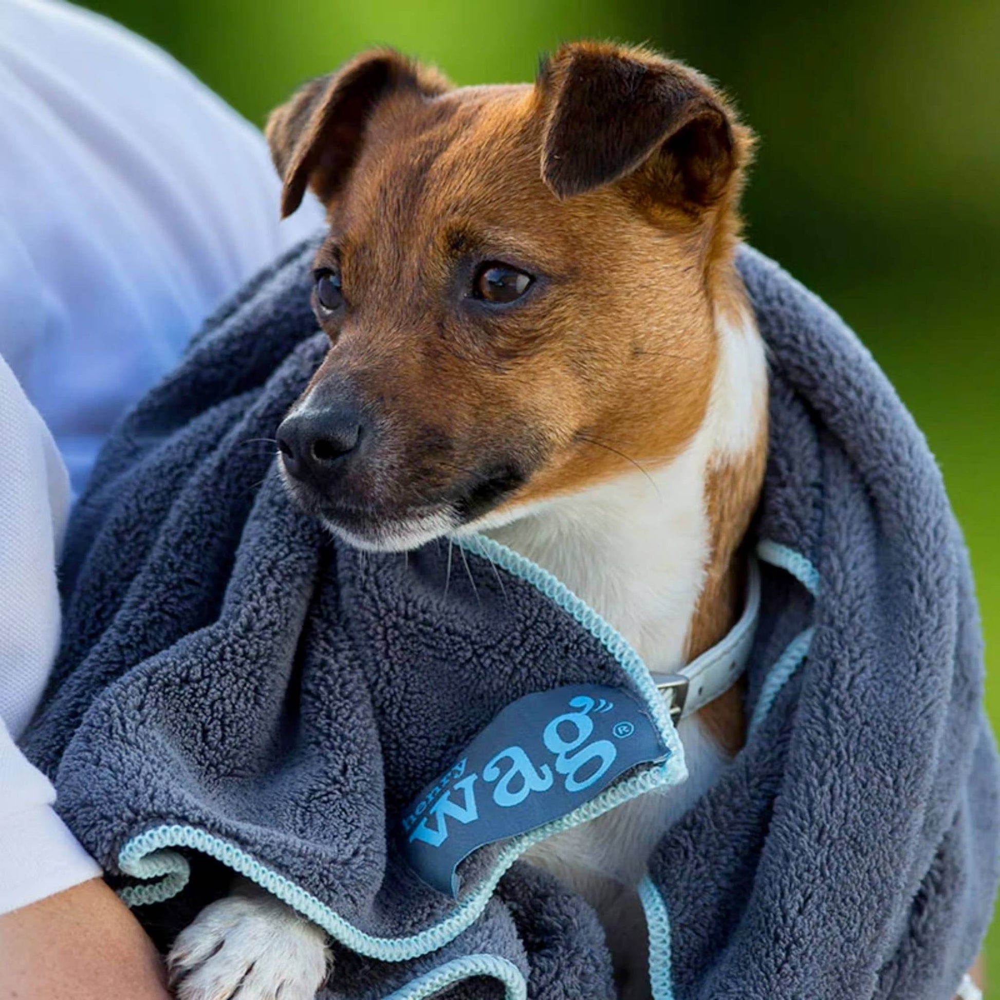 Henry Wag microfibre dog towel