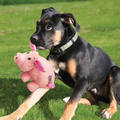 KONG Phatz Pig With Dog