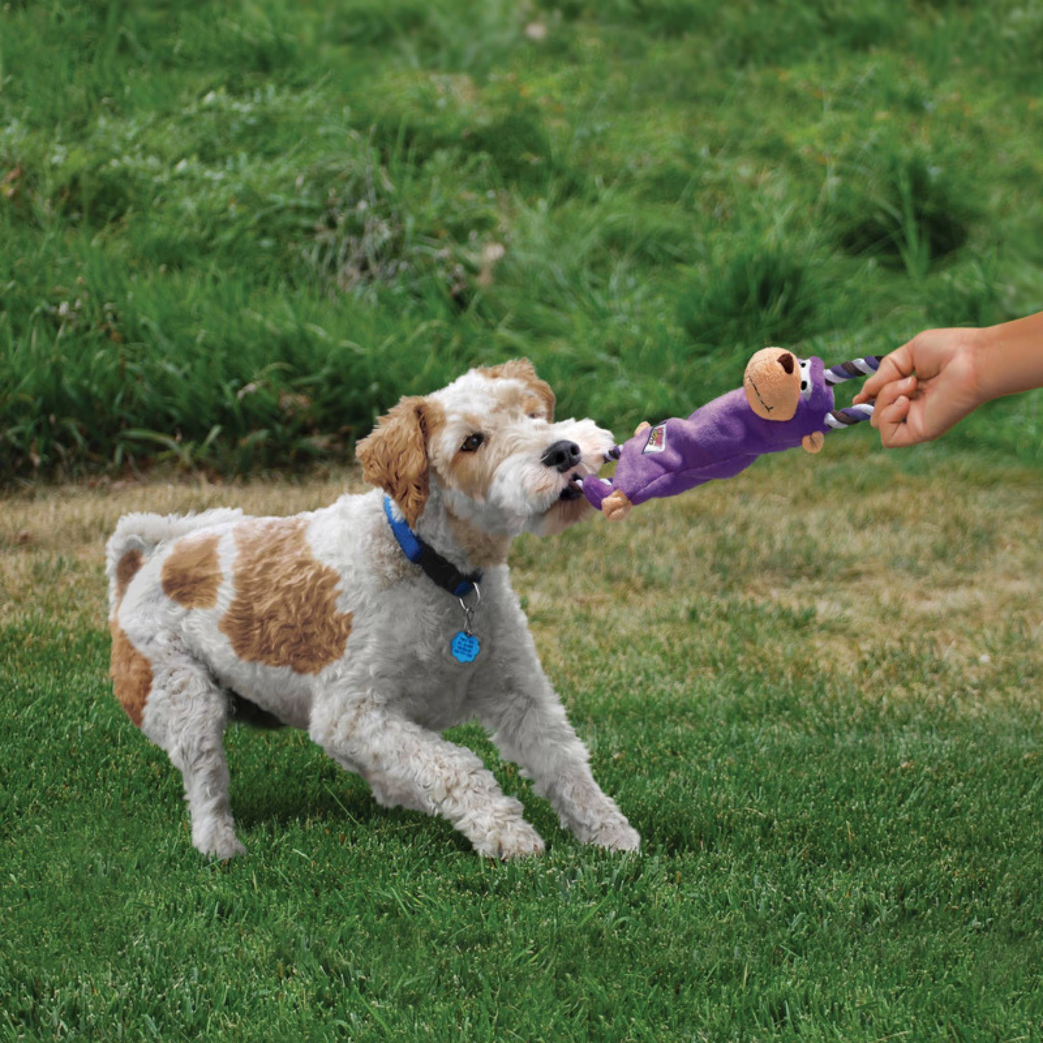 Tugger top dog toy