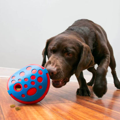 Dog with kong wally rewards treat dispenser