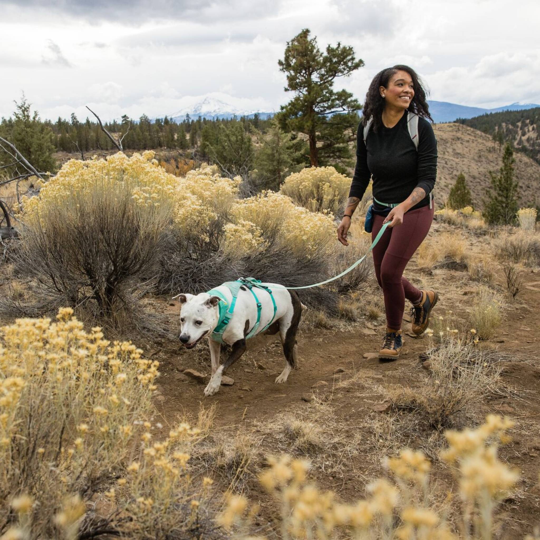 Ruffwear Flagline Dog Harness Dragonfly Products