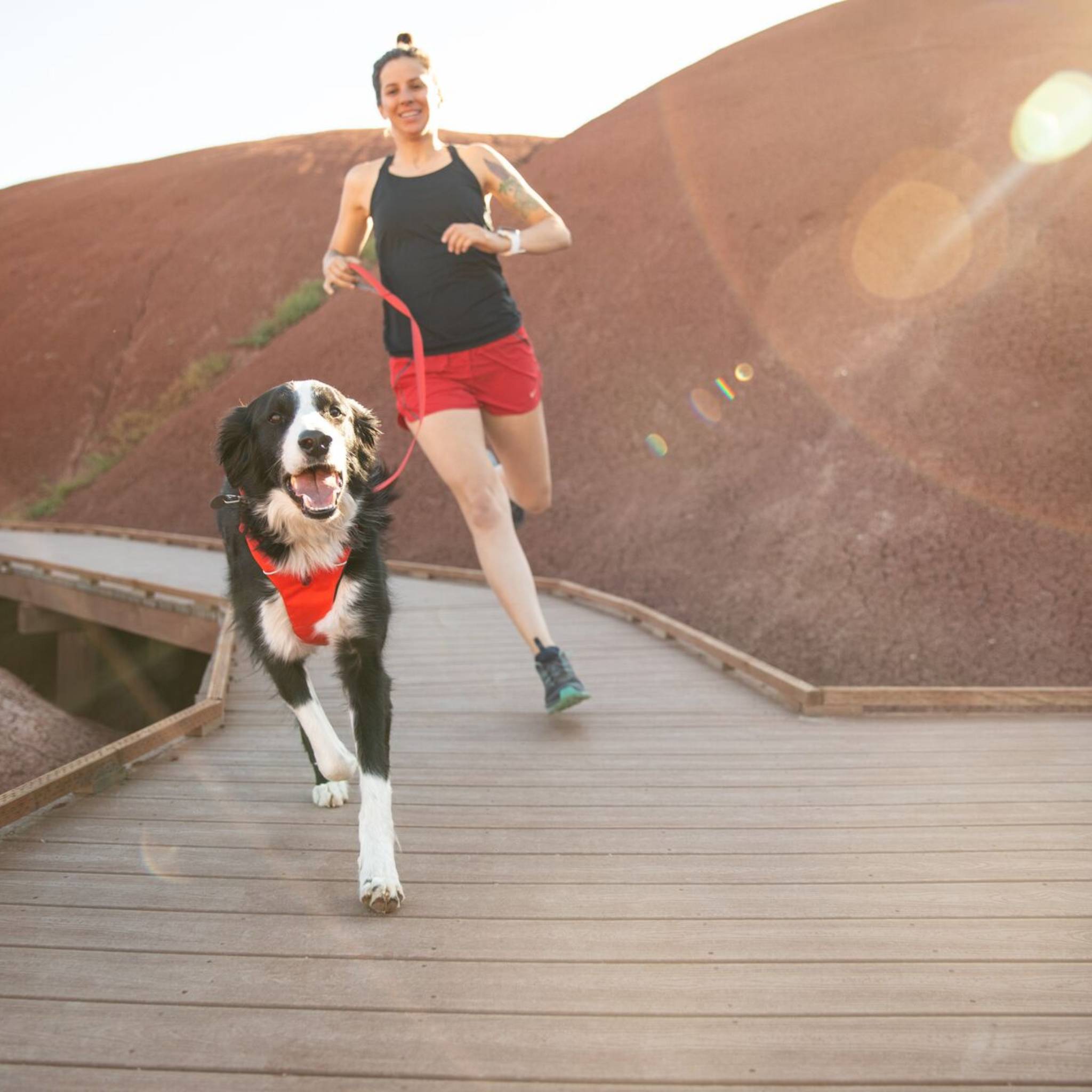 Ruffwear running clearance harness