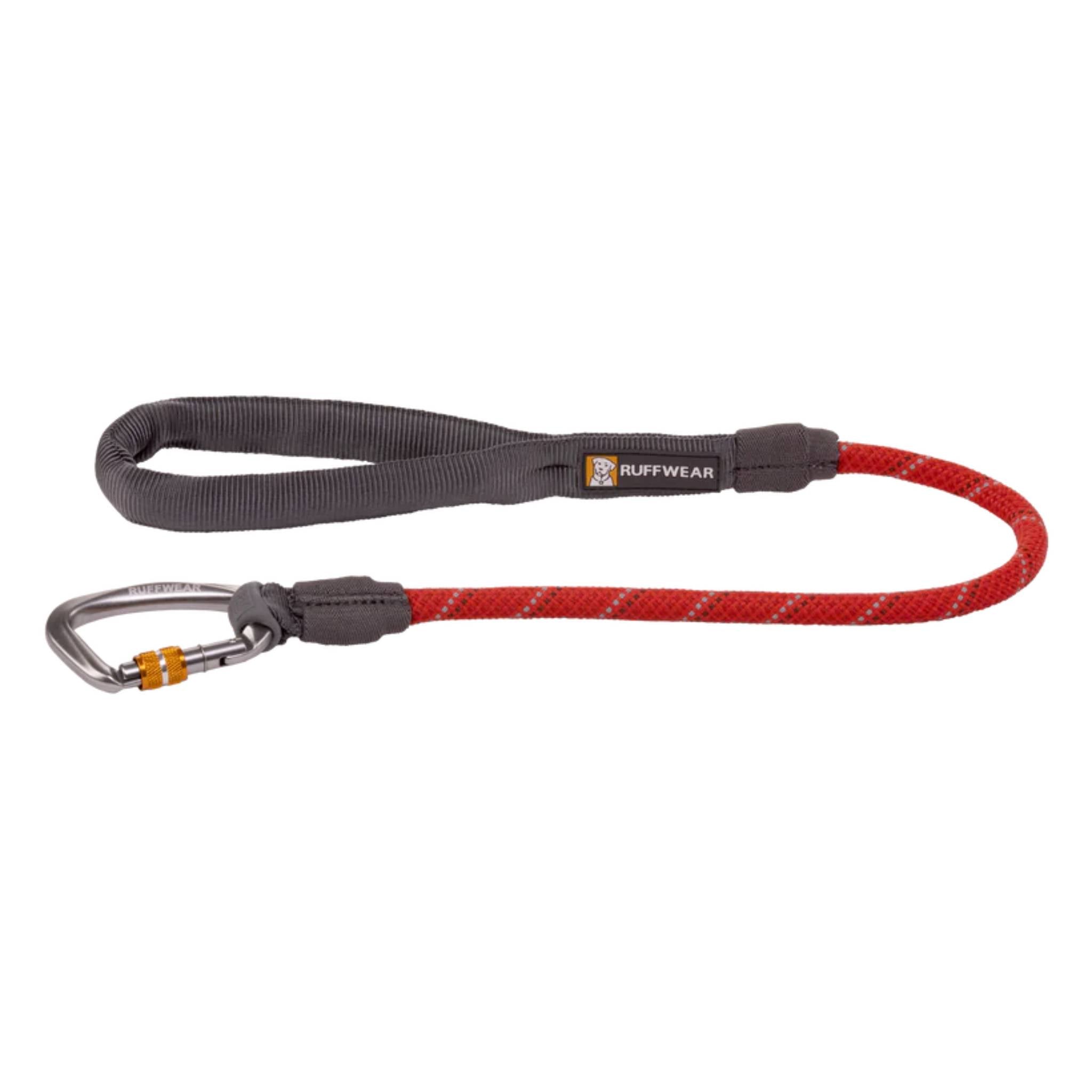 Long lead shop dog leash